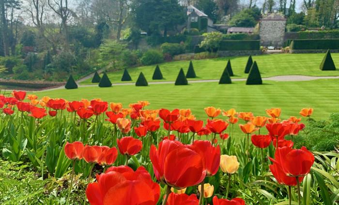 Raised Border and Yew Walk at Plas Cadnant